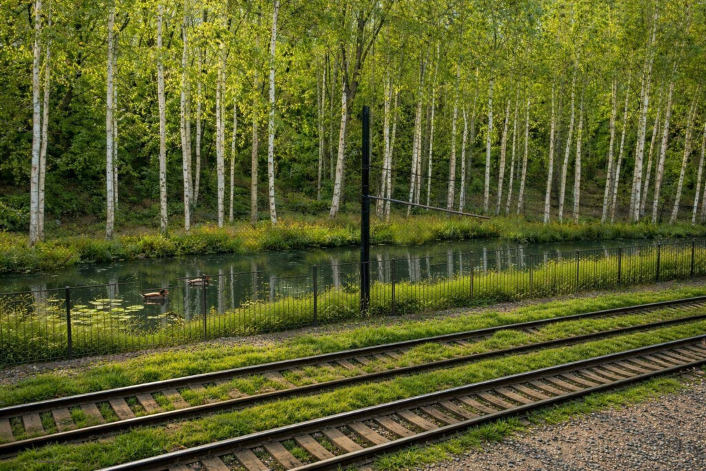 Image générée par l'IA